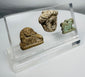 Custom-mounted display containing Egyptian, Greek, and Roman period antiquities with age-related patina and wear.