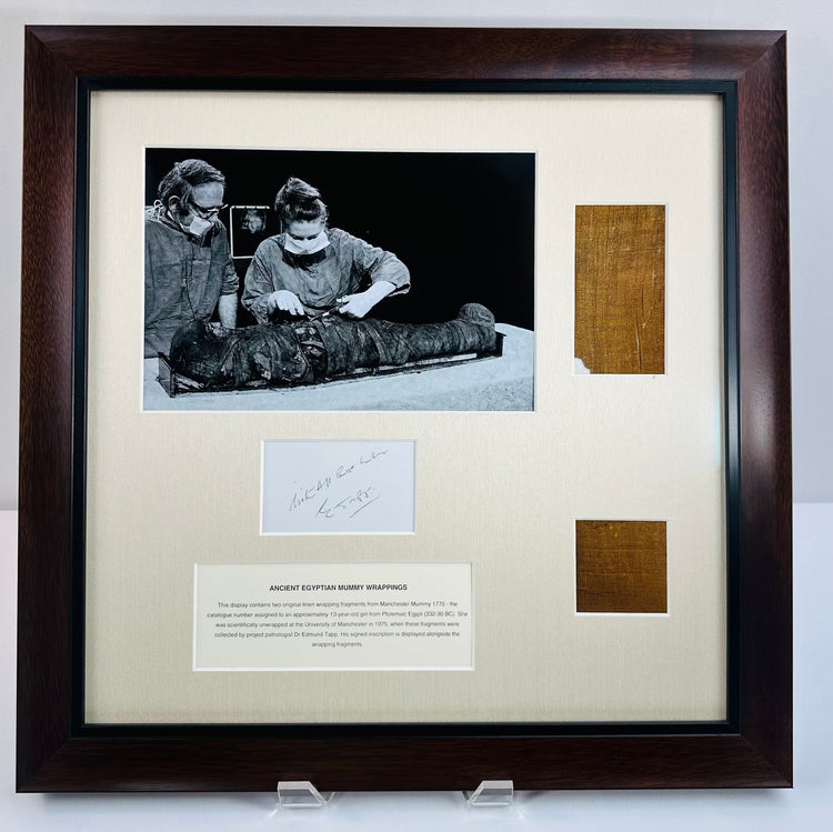 Full view of the Manchester Mummy 1770 display with cream fabric mount, dark wooden frame and contrasting inner border.