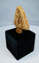 Terracotta cobra attachment with crown, red pigment traces, and black display base