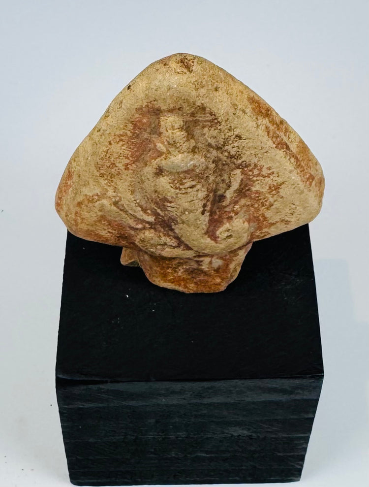 First-millennium BCE terracotta cobra fragment associated with protective symbolism