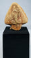Fragmentary Egyptian cobra ornament mounted on a modern black wooden stand