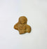 Close-up photo of a Ptolemaic terracotta female torso fragment showing preserved facial features.