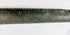 Close-up detail of engraved and dotted ornamentation on ancient Etruscan bronze sword sheath showing fine metalwork craftsmanship, 9th–7th century BCE