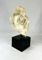 Authentic stucco Buddha head fragment, Southeast Asia, 12th–13th century, serene expression and partial halo