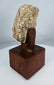 Weathered stucco head from ancient Gandhara with mineral deposits and age-related wear