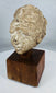 Ancient stucco Buddhist head from Gandhara displaying weathered archaeological surfaces