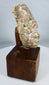 Archaeological Gandharan stucco sculpture fragment with calm meditative expression