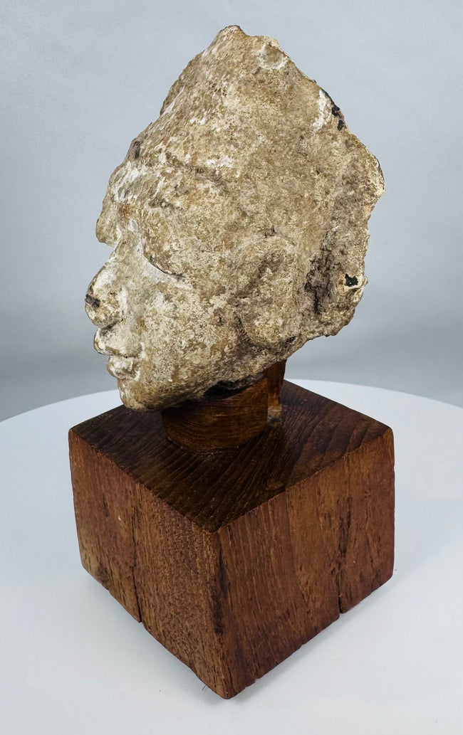 Gandharan archaeological head fragment mounted for display on a custom wooden base