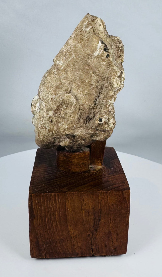 Museum-quality Gandharan Buddhist head fragment mounted on a wooden presentation stand