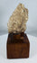 Museum-quality Gandharan Buddhist head fragment mounted on a wooden presentation stand