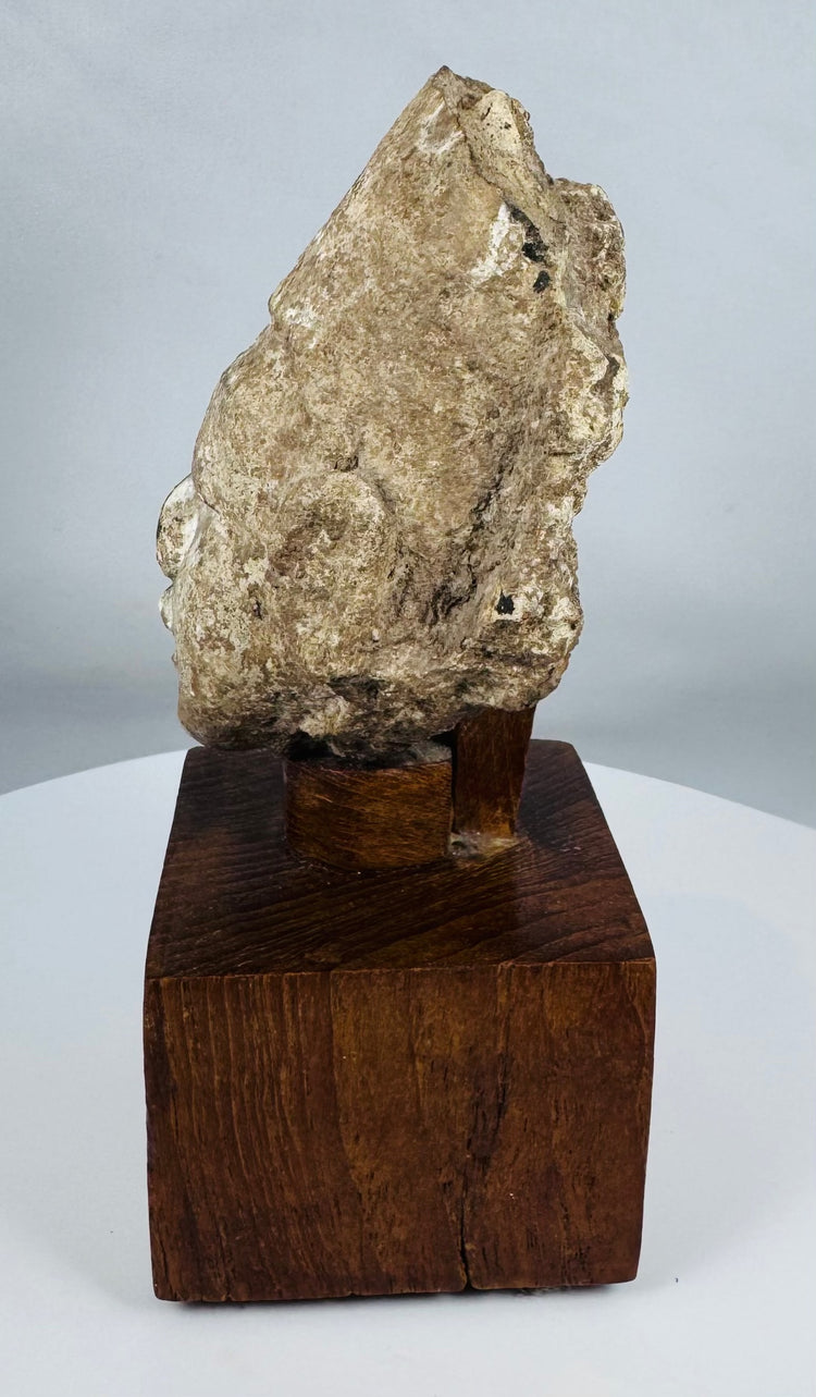 Museum-quality Gandharan Buddhist head fragment mounted on a wooden presentation stand