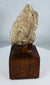 Museum-quality Gandharan Buddhist head fragment mounted on a wooden presentation stand
