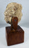 Ancient devotional head fragment likely representing a Buddha or bodhisattva