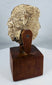 Ancient devotional head fragment likely representing a Buddha or bodhisattva