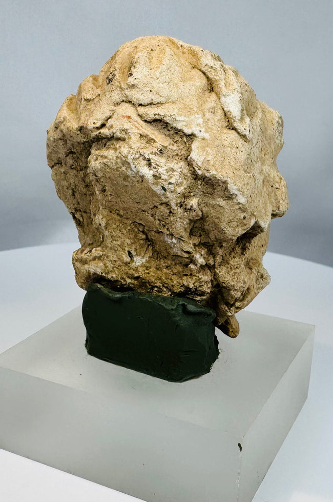 Archaeological Gandharan head fragment carved in limestone with heavily weathered features and strong Buddhist art historical significance.