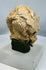 Archaeological Gandharan head fragment carved in limestone with heavily weathered features and strong Buddhist art historical significance.