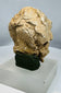 Archaeological Gandharan head fragment carved in limestone with heavily weathered features and strong Buddhist art historical significance.