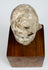 Terracotta head fragment highlighting swept hair grooves and pale surface wear across the rounded crown and forehead.