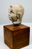 Terracotta head fragment highlighting a projecting nose, rounded chin, and modeled ear, supported on a wooden mount.