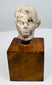 Terracotta head fragment with sculpted eyes, softly curved lips, and worn hair detailing, mounted on a warm brown wooden block.