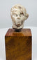 Ancient terracotta head displaying rounded cheeks, defined brows, and a prominent ear above a square wooden display base.