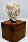 Ancient terracotta head displaying mottled surface wear and an irregular neck fragment secured above a square wooden base.