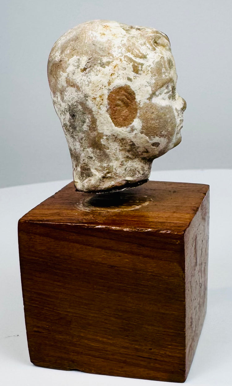 Terracotta head fragment with a brown patch at the ear, a defined jawline, and pale weathering across the cheek and neck.
