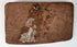 Early Historic Indian terracotta feline plaque with flat reverse, suspension hole, and remnants of an old collection label.