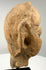 Left profile of weathered terracotta head fragment showing rough texture and broken neck base