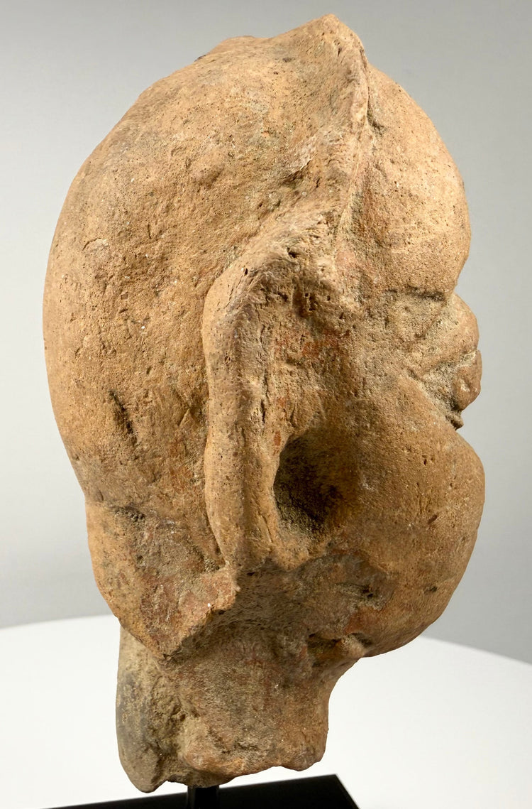 Left profile of weathered terracotta head fragment showing rough texture and broken neck base