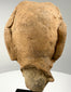 Rear view of ancient terracotta head fragment showing smooth skull back and jagged break