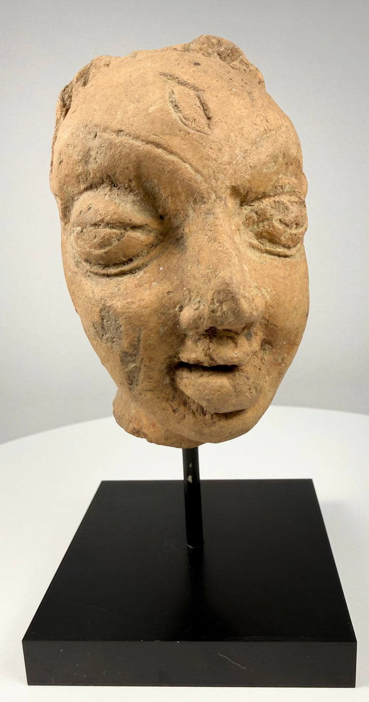 Frontal display of Gupta era terracotta head fragment highlighting symmetrical facial features