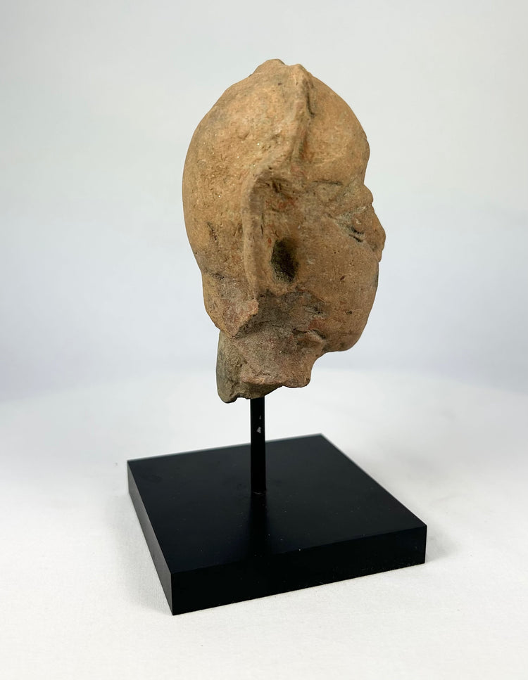 Right-side profile of a Gupta-period terracotta head fragment on a black stand, India, 3rd–5th century