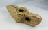 Stone oil lamp from Islamic world displaying mineral deposits and aging