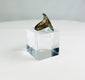Rare ancient bronze ring showing two birds in balanced composition, 1st–5th century CE