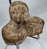 Close-up of an ancient Mediterranean terracotta bust highlighting archaeological weathering and mineral deposits.