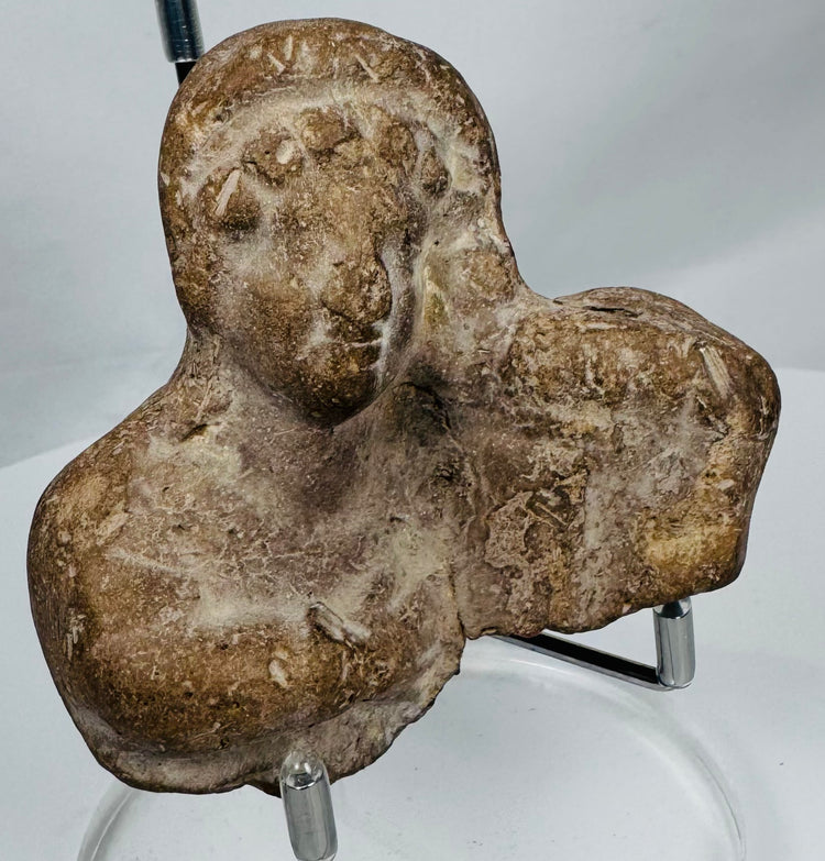 Close-up of an ancient Mediterranean terracotta bust highlighting archaeological weathering and mineral deposits.
