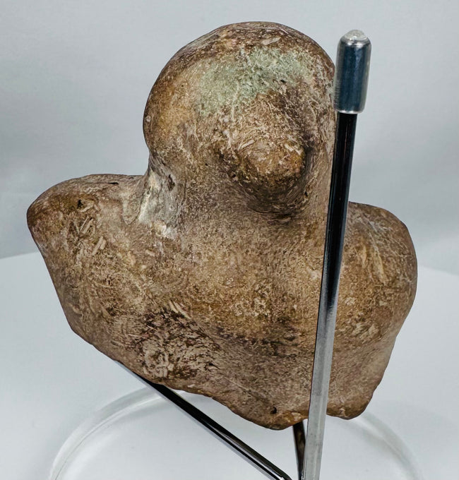 Front view of an authentic Classical Mediterranean terracotta bust fragment with serene facial expression.