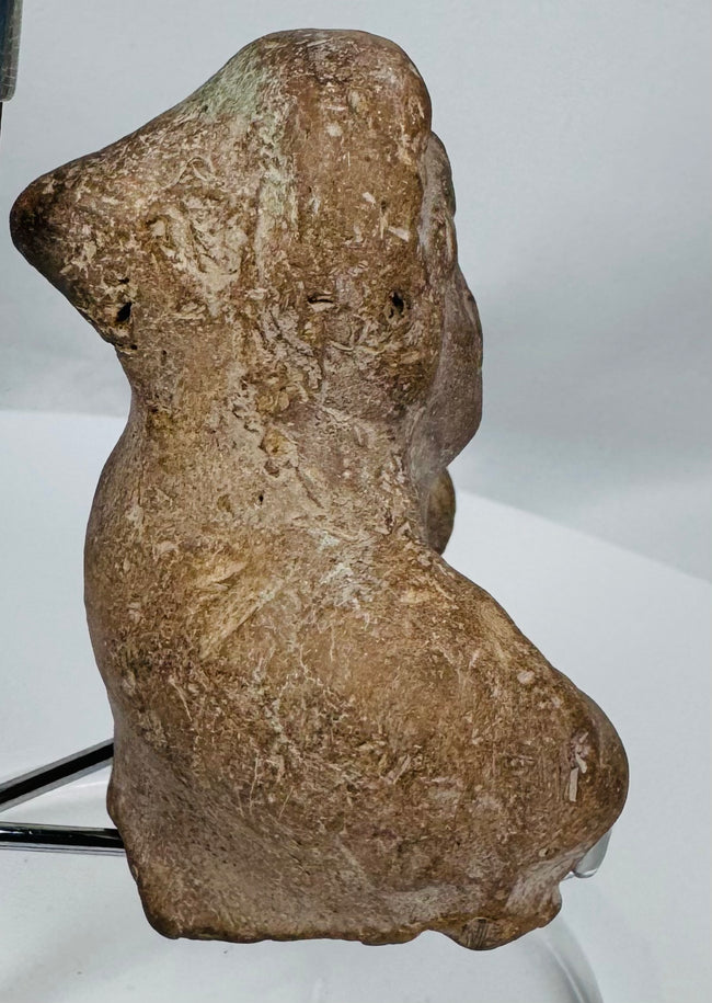 Rear view of an ancient mold-made terracotta figural fragment showing hollow ceramic construction.