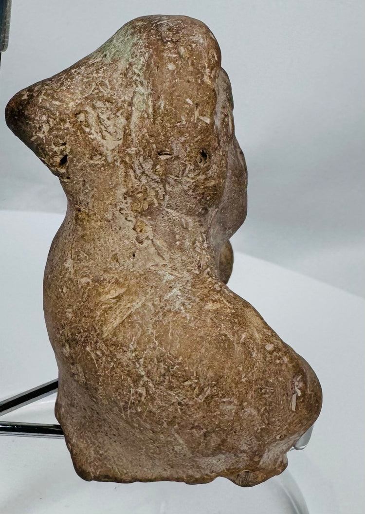 Rear view of an ancient mold-made terracotta figural fragment showing hollow ceramic construction.