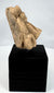 Pre-Columbian carved tan stone head displaying archaeological wear and surface patina
