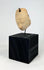 Ancient Veracruz or Colima Nayarit clay pendant with headdress