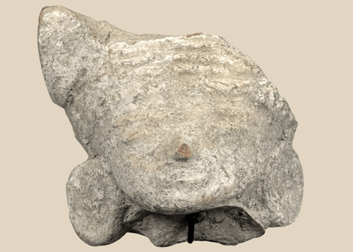 Pre-Columbian terracotta head fragment depicting a stylized human face with closed eyes and large ear ornaments.
