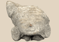 Pre-Columbian terracotta head fragment depicting a stylized human face with closed eyes and large ear ornaments.
