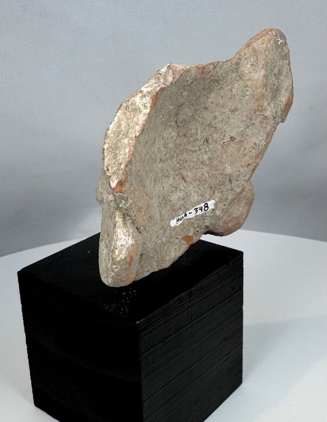 Pre-Columbian human head fragment displaying archaeological mineral deposits and earthen encrustation.