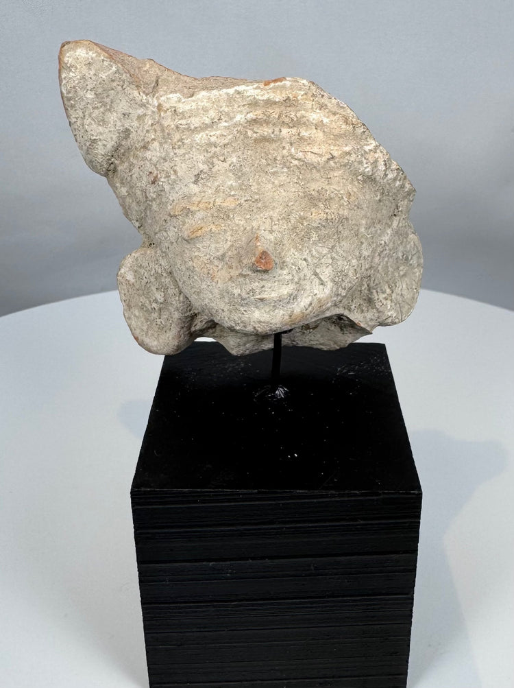 Ancient Gulf Coast Mexico terracotta effigy head featuring circular earspools and weathered surface.