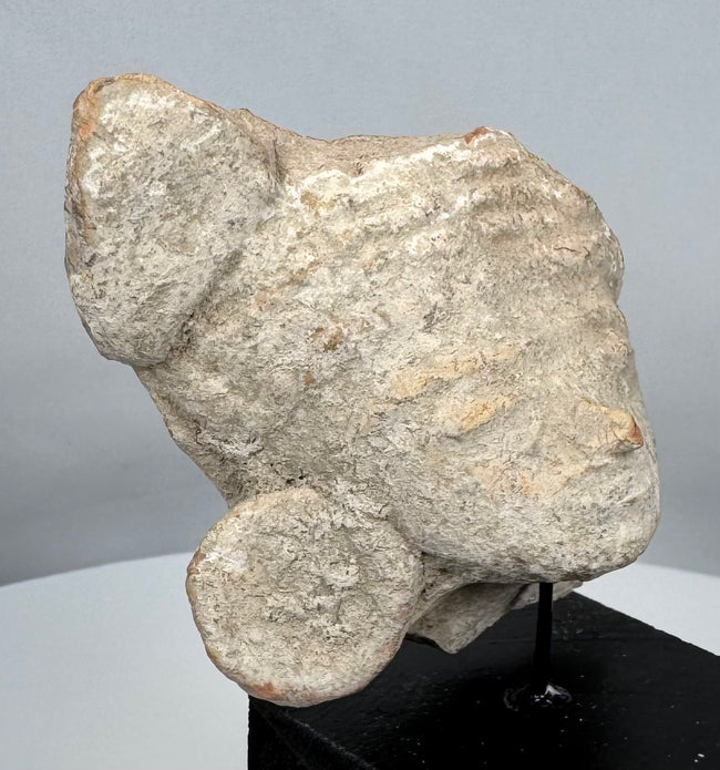 Authentic Pre-Columbian terracotta effigy head from ancient Mexico, dating to circa 300 BCE–600 CE.