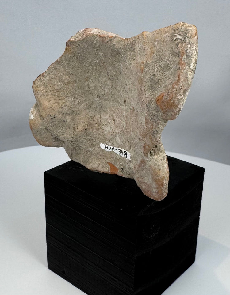 Weathered Mesoamerican terracotta face fragment with serene expression and surviving headdress details.