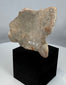 Weathered Mesoamerican terracotta face fragment with serene expression and surviving headdress details.