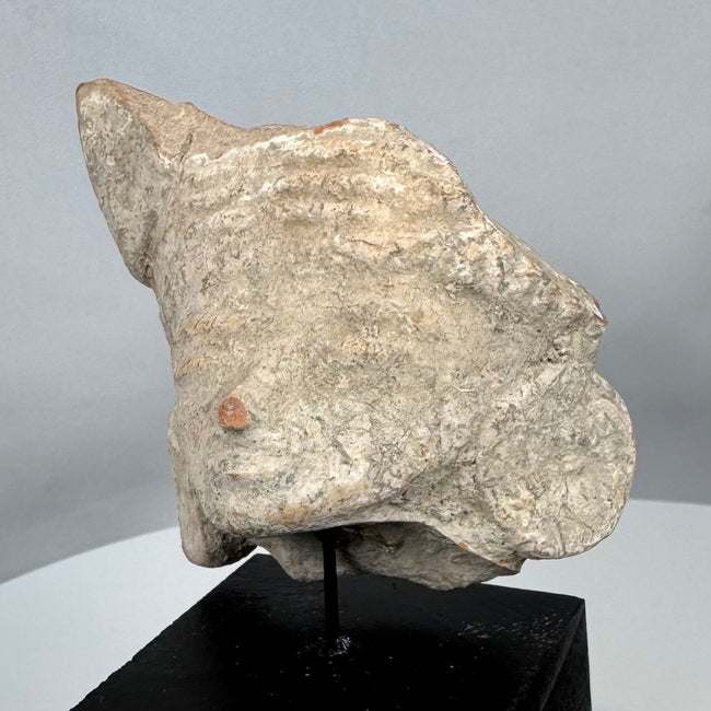 Ancient Mesoamerican terracotta head fragment with elaborate headdress and serene facial expression.